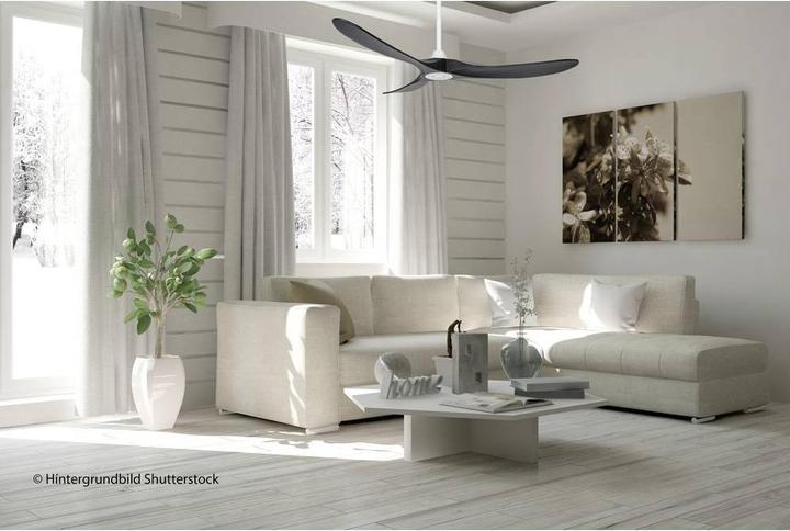 Immagine prodotto CasaFan Eco Genuino (20 dB)