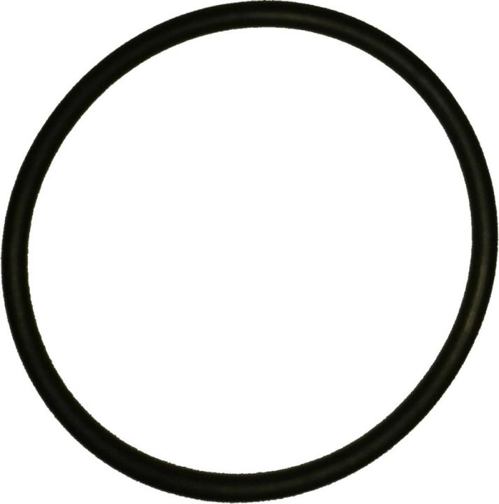 Dimplex Bague d'étanchéité