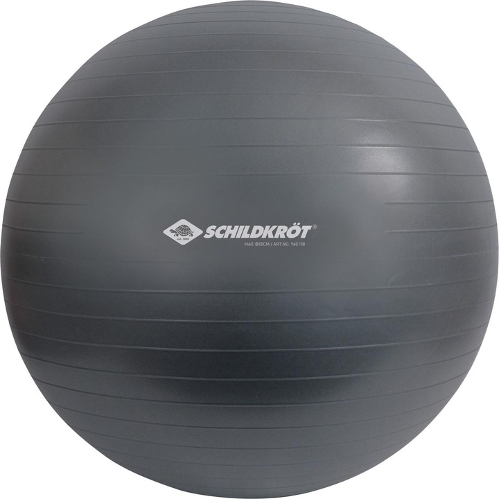 Actual product image Schildkröt Exercise ball (85 cm)