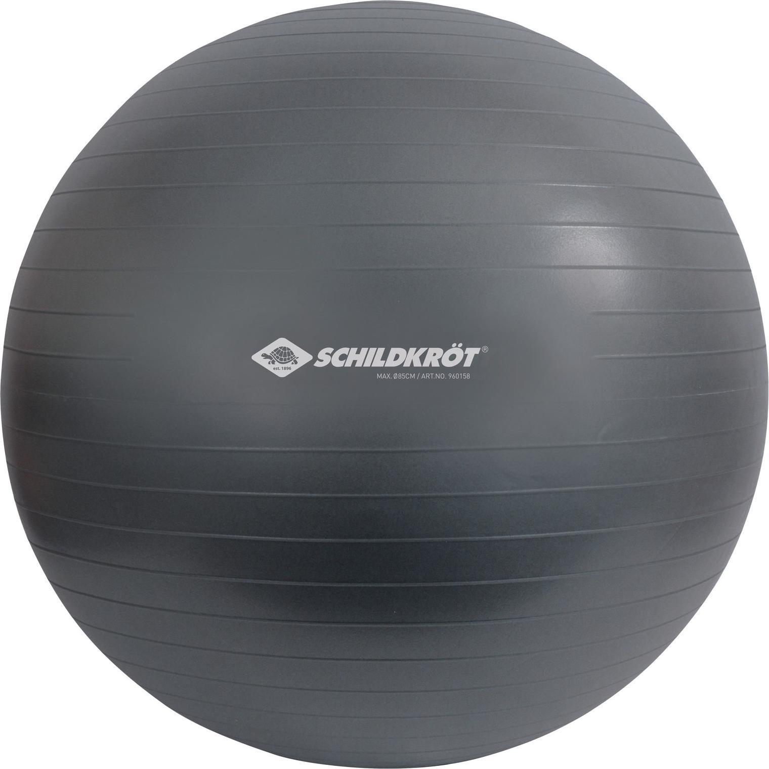 Schildkröt, Gymnastikball, (85 cm)