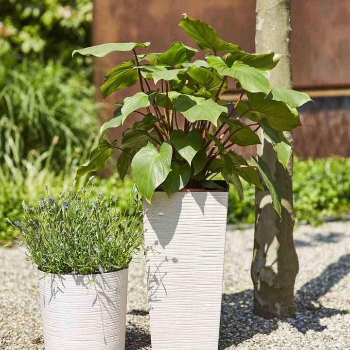 Immagine prodotto Siena Garden Fioriera ECO Lens bianca Ø 25x25,5 cm