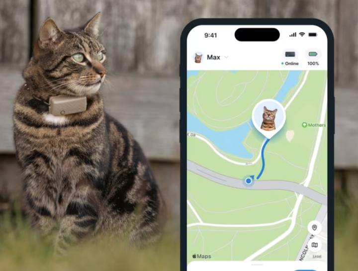 Actual product image Tractive GPS Mini (One size, Cat, General)