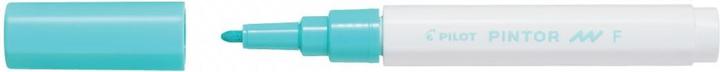 Produktbild Pilot Pintor Fein pastell (Green, 1 mm, 1 x)