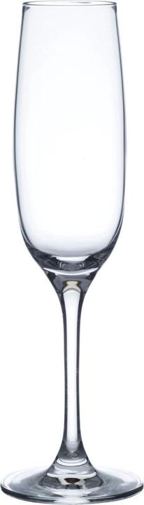 Actual product image Leonardo Ciao+ (13 cl, 1 Glass, Champagne glasses)