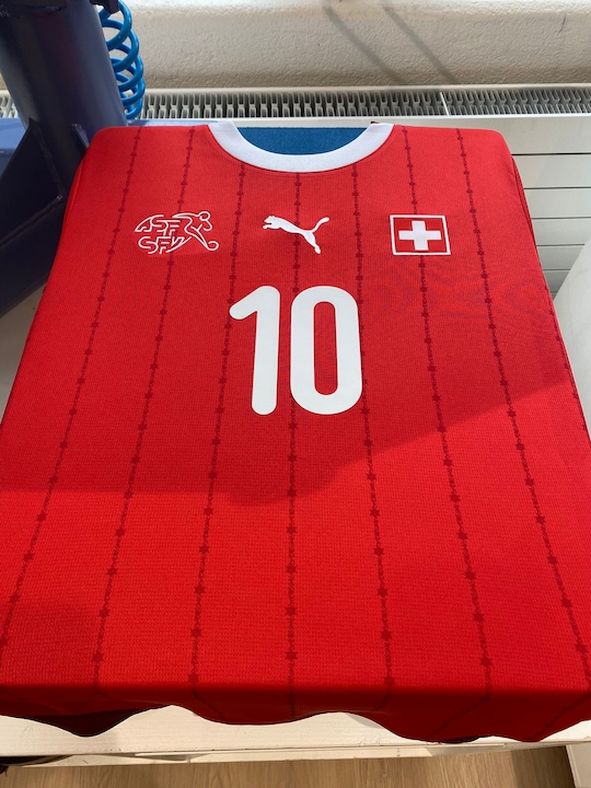 Immagine prodotto Puma Home Replica EM 2024 (152)