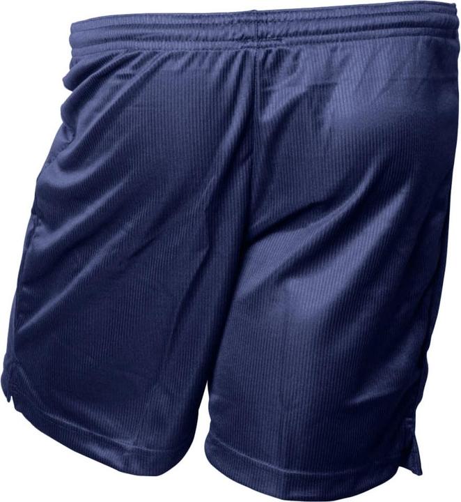 Produktbild Precision ErwachsenenFussballshorts mit MikroStreifen (XXL)