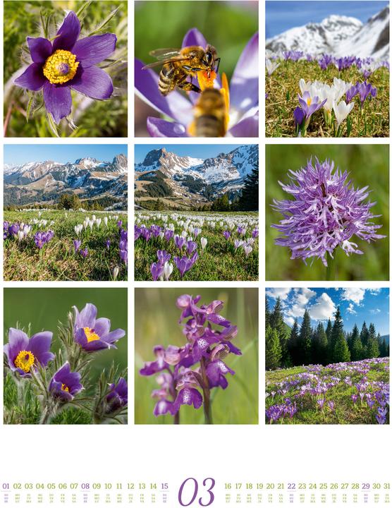 Image du produit Inspiration Natur Kalender 2026 (Couverture rigide, Anglais, Français, Allemand)