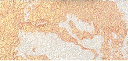 Produktbild Pupa Milano Brightener Night Heroes Face Illuminator - 2 Grams (001 Hypnotic Shine, Highlighter, 2 g)