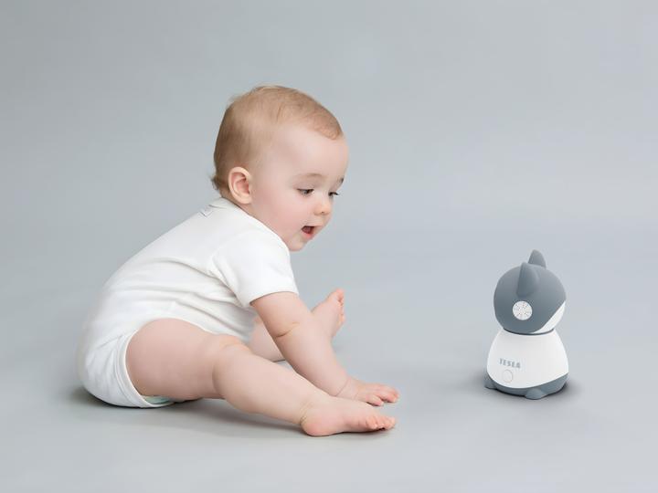 Actual product image Tesla Smart B250 surveillance camera, grey/white (1920 x 1080 Pixels)