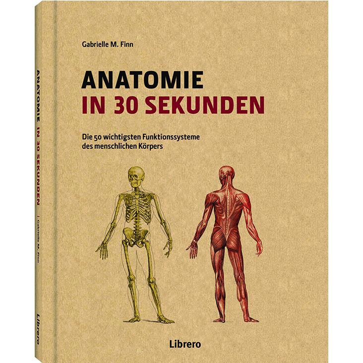 Anatomie in 30 Sekunden, Ratgeber von Gabrielle M. Finn