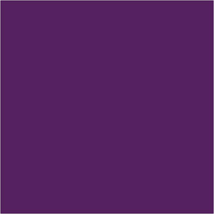 Immagine prodotto Bic Bambini Visacolor XL Viola (12x)