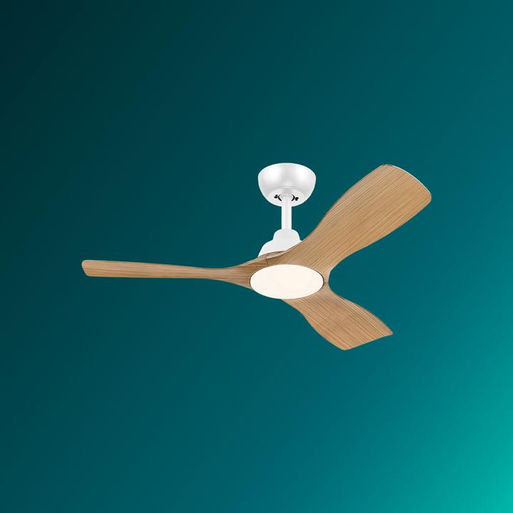 Immagine prodotto Philips Olas