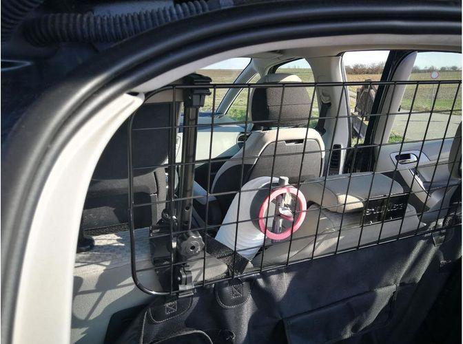 Actual product image Doggyfresh Air (Dog)