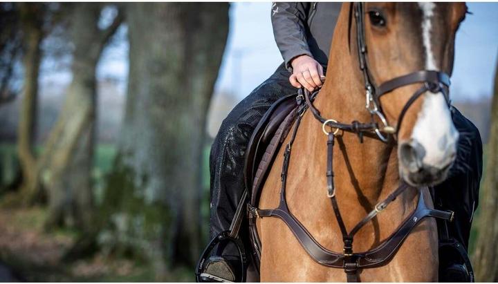 Actual product image LeMieux Drytex Stormwear (M)