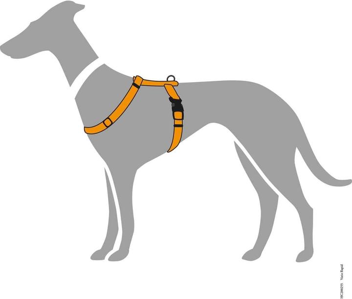 Immagine prodotto Hunter Vario Rapid (S, M, Cane, Generale, Passeggiare)