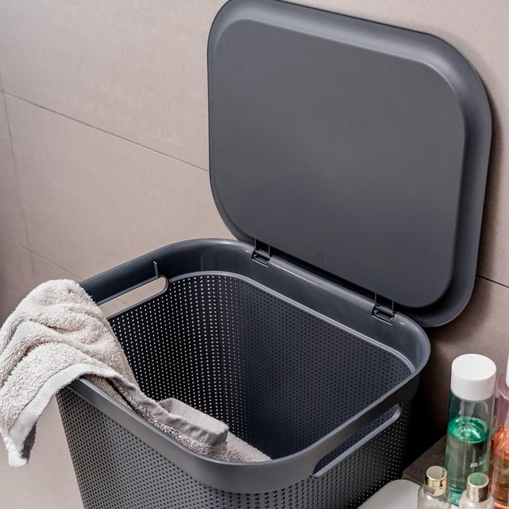 Image du produit Rotho Brises 1 (50 l)