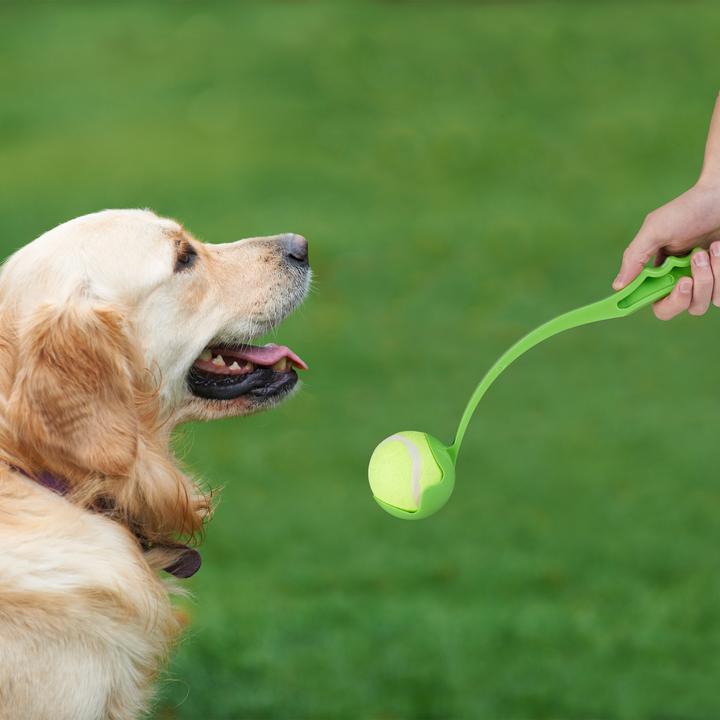 Immagine prodotto Relaxdays Lanciapalle per cani set da 2 (Palla giocattolo per cani)