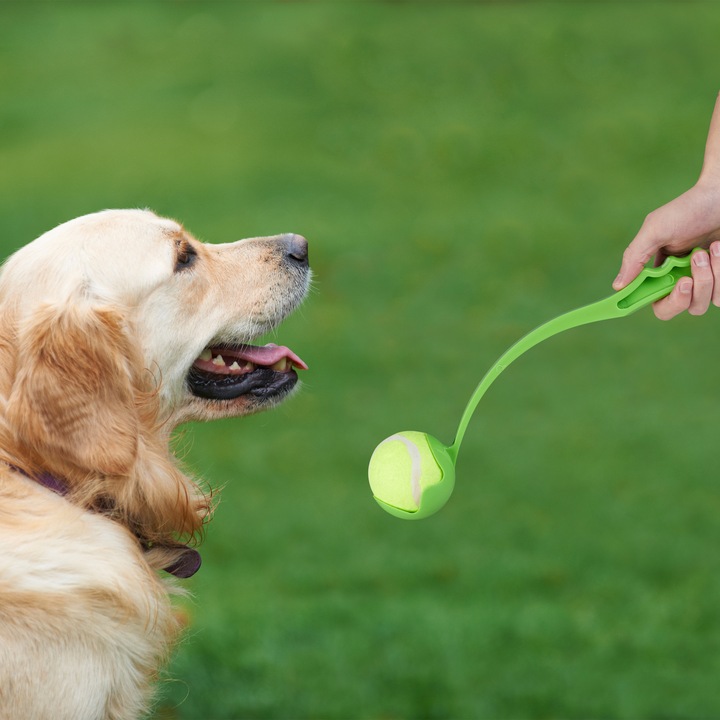 Produktbild Relaxdays Ballschleuder (Ballspielzeug Hund)