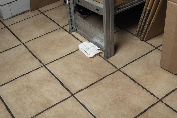 Actual product image Gardigo 668043 Vermin trap (W x H) 160 mm x 50 mm 3 pcs.