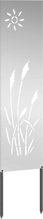 Produktbild vidaXL Gartensichtschutz (50 cm)