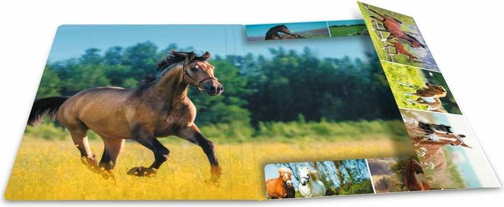Produktbild HERMA Sammelmappe A4 Motiv (A4, 1x)