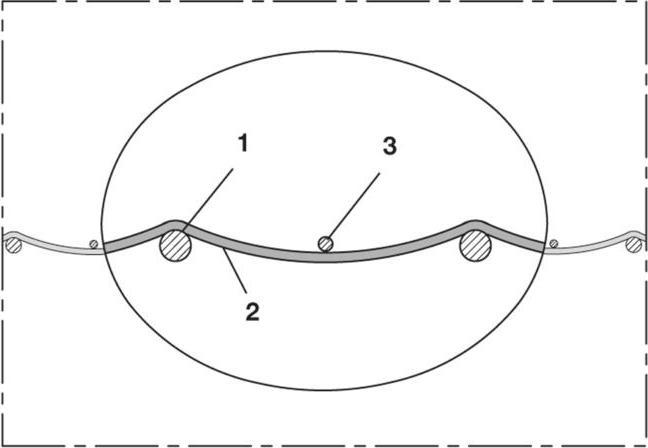Produktbild Norres Druckschlauch NORFLEX® PVC 400 Innen-Ø 22 mm Aussen-Ø 28 mm Länge 50 m