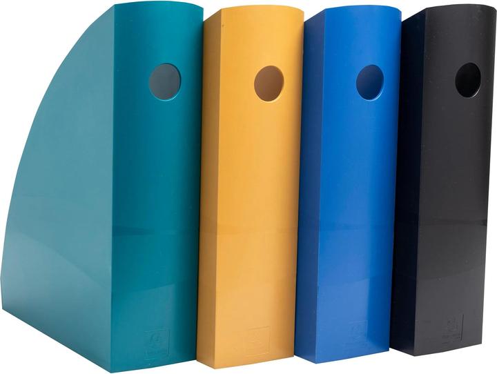 Actual product image Exacompta Porte-revues MAG CUBE (A4, A4+)