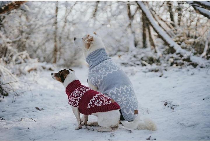 Image du produit Hunter - Dogcoat Birka 25, grey - (203476) (25, Pull-over pour chien)