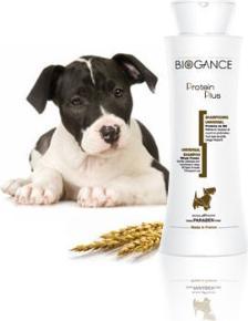 Actual product image Biogance Shampoo Protein Plus (Dog)