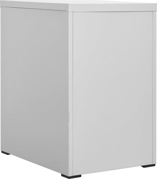 Actual product image vidaXL Aktenschrank (46 x 62 x 72.50 cm)