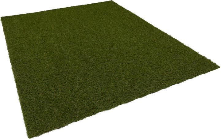 Produktbild Snapstyle Kunstrasen Rasenteppich Outdoor (200 x 400 cm)