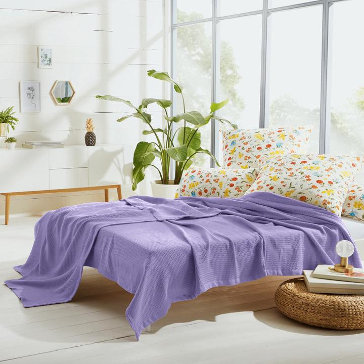 Image du produit Erwin Müller Sommer-Decke (220 x 240 cm)