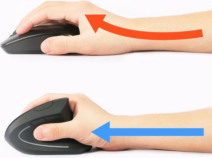 Immagine prodotto equip Ergonomische Maus (Senza fili)