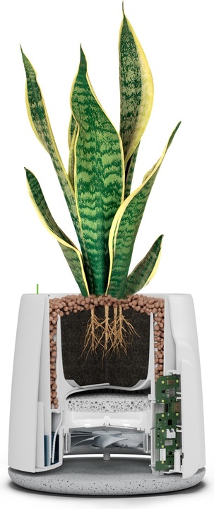 Actual product image Vitesy Natede Smart (20 m²)