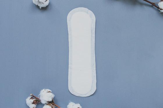 Actual product image Natracare Maxi (10 x, Sanitary pads)