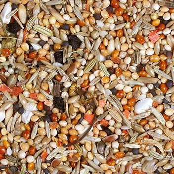 Produktbild JR Farm Birds Premium Nymphensittich (1 x, 1 kg)