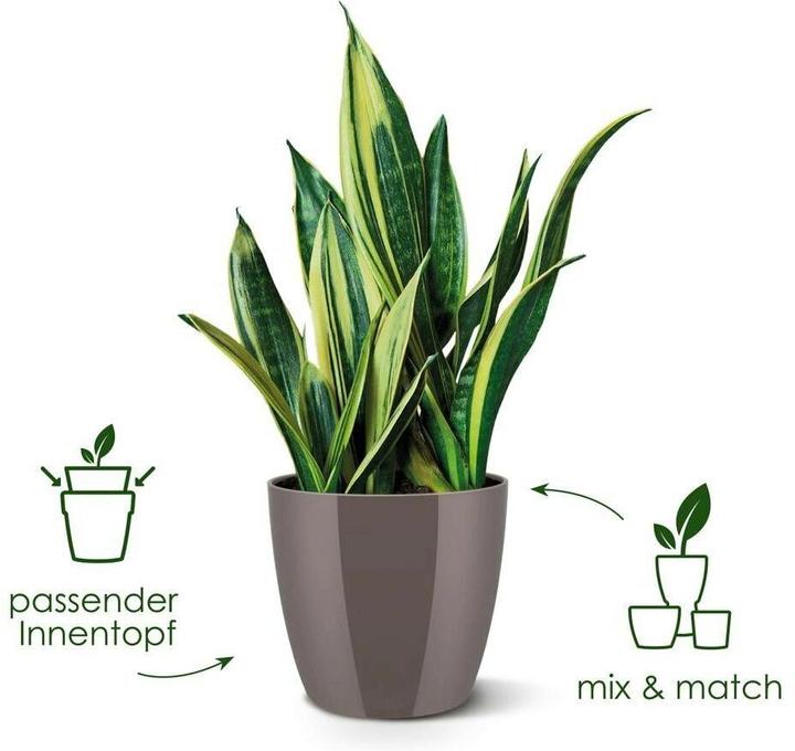 Produktbild Elho Brussels (16 x 15 cm)