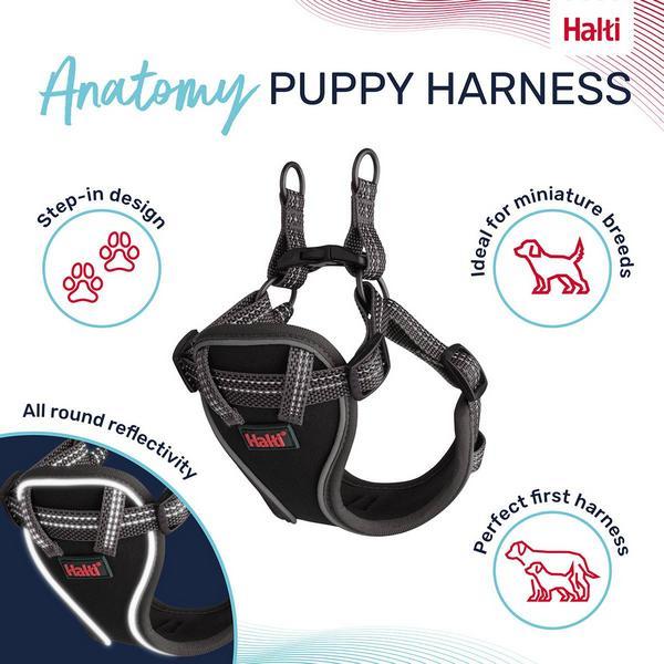 Harnais pour Chien Company of Animals Gris XXS 22-30 cm