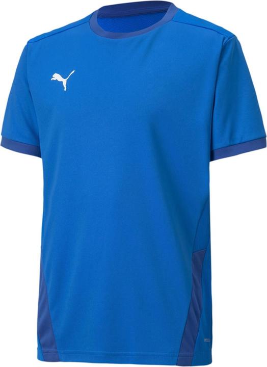 Actual product image Puma teamGOAL 23 Jersey jr-704160 (128)