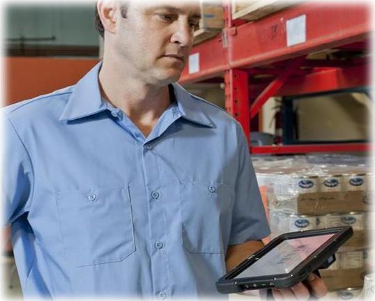 Immagine prodotto Zebra Telaio Robusto 8in Con Io Robusto