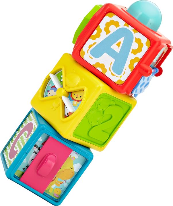 Actual product image Fisher-Price Stacking Action Blocks