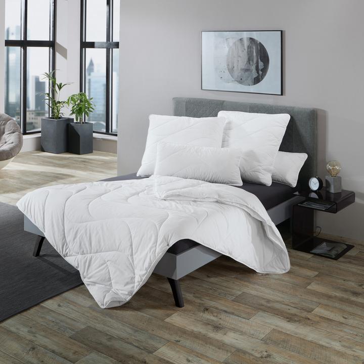 Immagine prodotto Erwin Müller Lech (1000 g, 155 x 220 cm)