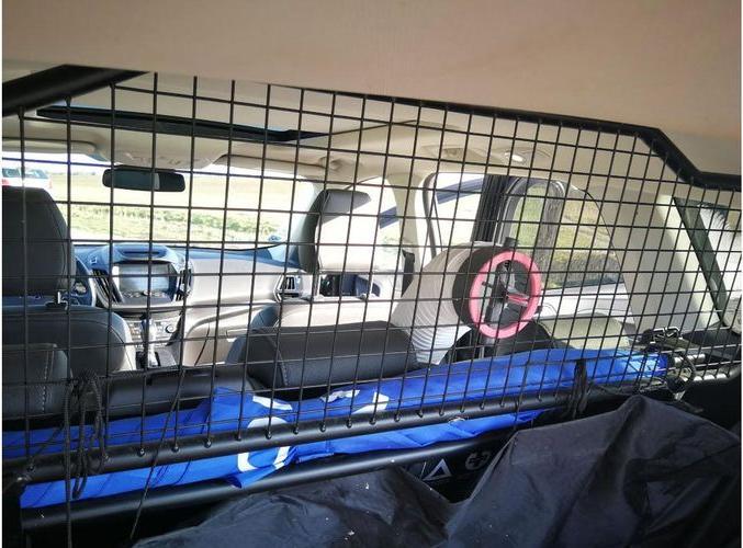 Actual product image Doggyfresh Air (Dog)