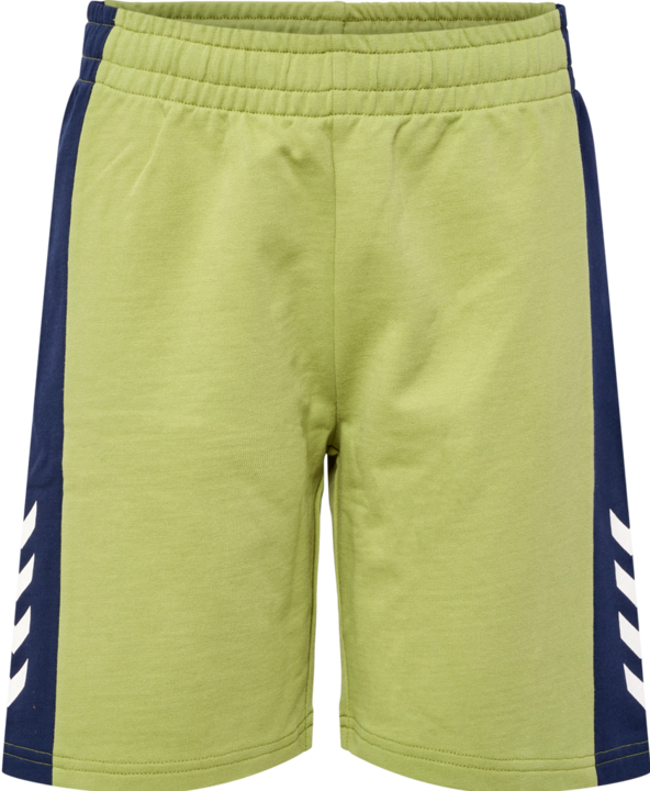 Image du produit hummel Hmlrush Block Shorts (116)