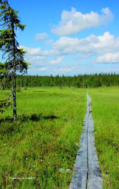 Actual product image Travel Guide Finland (German, Rasso tuber, 2024)