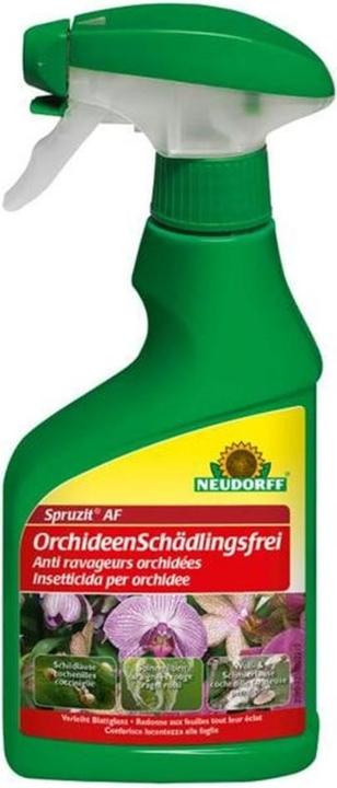 Neudorff Spruzit AF Orchideen Schädlingsfrei (Pflanzen)
