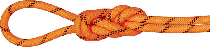 Produktbild Mammut 8.7 Alpine Sender Dry Rope (40 m)