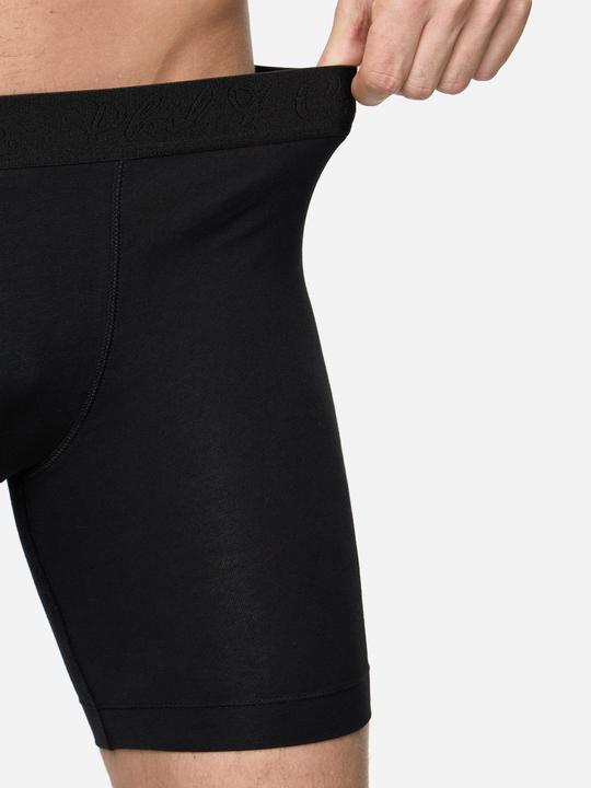 Actual product image Phil & Co. Berlin Retro Pants Jersey Long Boxer (L, pack of 3)