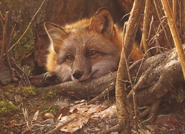 Produktbild Cobble Hill Puzzle Friendly Touch 500 Teile (500 Teile)