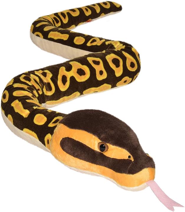 Actual product image Wild Republic Royal python